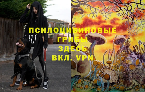 ALPHA PVP Нефтекумск