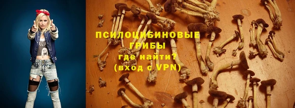 круглые Новодвинск
