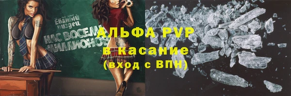 молекула духа Новокубанск