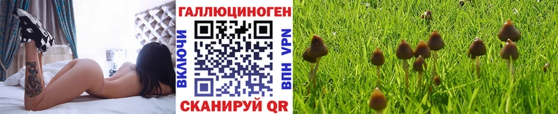 Галлюциногенные грибы GOLDEN TEACHER  Зеленокумск 