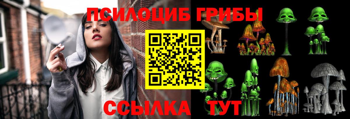 купить  сайты  Псилоцибиновые грибы MAGIC MUSHROOMS  Вход с VPN  Зеленокумск 